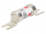 Fuse: fuse | 100A | 690VAC | 460VDC | ceramic,industrial | 26x111mm