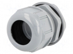 Cable gland | PG36 | IP68 | Mat: polyamide | dark grey | UL94V-2