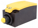 Limit switch | pin plunger &Oslash;8,2mm | NO + NC | 6A | max.400VAC | M20