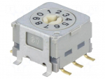Encoding switch | DEC/BCD | Pos: 10 | horizontal | Rcont max: 30m&Omega;