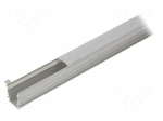 Profiles for LED modules | white | natural | L: 2m | DEEP10 | aluminium