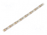 LED tape | white cold | 2835 | LED/m: 120 | 10mm | white PCB | IP65 | 24W/m