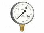 Manometer | 0&divide;600mbar | Class: 1.6 | 100mm | Temp: -40&divide;60&deg;C | IP54 | steel