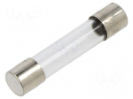 Fuse: fuse | 100mA | 250VAC | quick blow | cylindrical,glass | 6.3x32mm