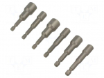 Tools set: screwdriver bits | 6pcs | 6-angles socket