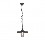 Trio-Lighting OUTDOOR Brenta piekaramā lampa E27 anthracite
