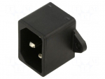 Connector: AC supply | plug | male | power supply | 10A | 250VAC | 250V