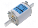 Fuse: fuse | 160A | 800VAC | gS | industrial | NH1