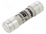 Fuse: fuse | 10A | 690VAC | gG | ceramic,cylindrical,industrial
