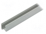 Profiles for LED modules | surface | natural | L: 1m | aluminium
