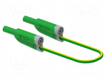 Test lead | 36A | banana plug 4mm,both sides | Len: 1m | yellow-green