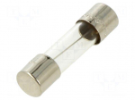 Fuse: fuse | 8A | 250VAC | time-lag | cylindrical,glass | 5x20mm | S506