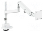Holder | table edge | 27kg | 57" | white | Arm len: 653mm | monitor x1