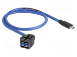 USB module | Keystone | USB A socket,USB C plug | push-in | 0.5m