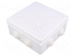Enclosure: junction box | X: 172mm | Y: 172mm | Z: 75mm | wall mount