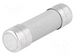 Fuse: fuse | 63A | 500VAC | ceramic,cylindrical,industrial | 22x58mm