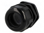 Cable gland | PG36 | IP68 | Mat: polyamide | black | UL94V-2