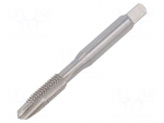 Tap | M6 | 1 | L: 62mm | Holder: machine | 4.5mm | ISO2/6H