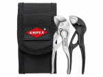 Tools set: pliers | miniature | Kit: case | 2pcs.