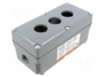 Enclosure: for remote controller | 30mm | IP66 | X: 91.9mm | Y: 177.8mm