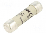 Fuse: fuse | 2A | 400VAC | gG | ceramic | 8.5x31.5mm