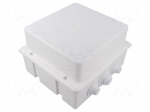 Enclosure: junction box | X: 170mm | Y: 190mm | Z: 120mm | wall mount