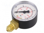 Manometer | 16bar | bottom connection | Thread: G 1/4" | 50mm | plastic