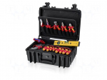 Tools set: general purpose | Kind: for electricians | 24pcs.