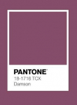 Bed cover set sateen plum 145x205
