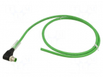 Cable: for sensors/automation | PIN: 8 | M12 male | angled | 1m | plug
