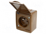 Connector: AC supply | socket | 2P+PE | 250VAC | 16A | brown | PIN: 3 | IP44