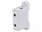 Splice terminal: rail | 220A | 800V | screw terminal | grey | polyamide