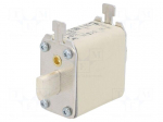 Fuse: fuse | 100A | 400VAC | quick blow | ceramic,industrial | NH00