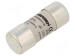 Fuse: fuse | ceramic,cylindrical,industrial | 125A | 500VAC | 250VDC
