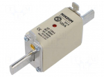 Fuse: fuse | 125A | 500VAC | gG | industrial | NH0
