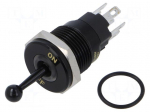 Switch: toggle | Pos: 2 | SPDT | ON-ON | 5A/250VAC | -40&divide;85&deg;C | IP67 | brass