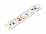 LED tape | white cold | 5050 | 12V | LED/m: 60 | 120&deg; | IP65 | 14.4W/m