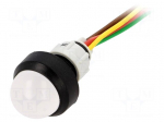 Indicator: LED | prominent | 24VDC | 24VAC | Cutout: &Oslash;13mm | IP40