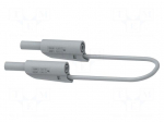 Test lead | 36A | banana plug 4mm,both sides | Len: 1m | grey