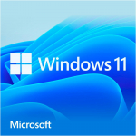 Microsoft Windows 11 Home, operating system software 64-bit, German, USB stick