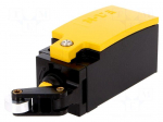 Limit switch | lever R 20mm, plastic roller &Oslash;13mm | NO + NC | 6A