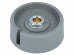 Knob | with pointer | polyamide | &Oslash;shaft: 6mm | &Oslash;40x16mm | grey