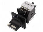 Main emergency switch-disconnector | Poles: 3 | on panel | 32A | IP65