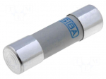 Fuse: fuse | gR | 10A | 660VAC | ceramic,cylindrical,industrial