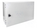 Enclosure: multipurpose | X: 400mm | Y: 600mm | Z: 250mm | CS | steel | grey