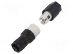 Connector: M12 | plug | PIN: 4 | female | 250V | straight | IP65,IP67 | IDC