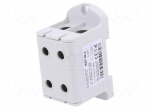 Splice terminal: rail | 220A | 800V | screw terminal | grey | polyamide