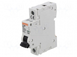 Circuit breaker | 230VAC | Inom: 10A | Poles: 1 | Charact: B | 10kA | IP20