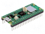 Accessories: prototype board | Raspberry Pi PICO WH | Cortex M0+