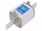 Fuse: fuse | 160A | 800VAC | gS | industrial | NH2